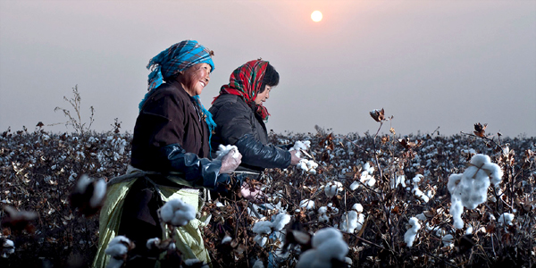 Xinjiang Textile Industry