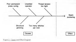 Figure 2. The Cause and Effect Diagram