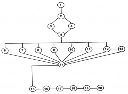 Figure 3. Flow Chart or Process Diagram