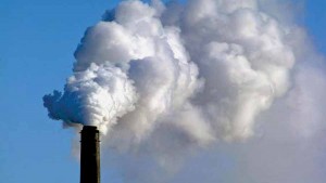 Through this project, the participants have successfully reduced their carbon emissions