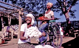 Chetna farms copy copy