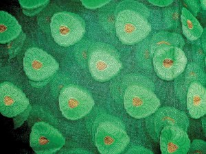 Bhavin Textiles