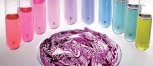 NF-Oct04-Testing-Your-Diet-with-Pee-Purple-Cabbage copy copy