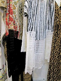 Interlaced fringes at SaiBa Expo