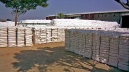 CCI plans to set up its first ginning factory in Adoni copy copy
