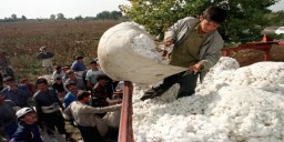 Image courtesy: centralasiaonline.com