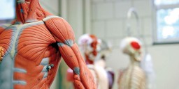 Biomedical textiles – A fast growing market segment