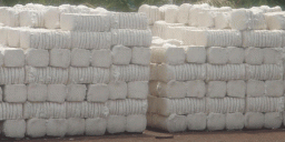 Image Courtesy: umapatioilmill.com