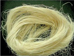 Agricultural waste from banana and pineapple can be used as alternative materials for production of home textiles and apparels.