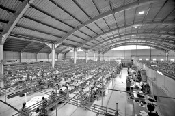 Factory interior of Radhamani Textiles