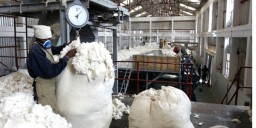 Image Courtesy: altis.in