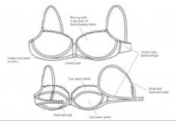 A sketch of the bra discussed, showing the different panels 