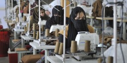 Image Courtesy: upload.wikimedia.org