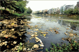 Solidaridad vows to clean up Bangladesh industrial pollution