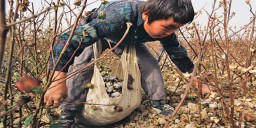 Image Courtesy: scottishfairtradeforum.org.uk