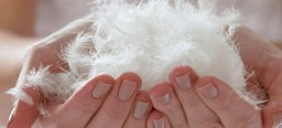 Four Paws’ web tool for verifying animal-cruelty free down feathers claims