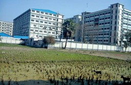 GMS unit in Gazipur is fully integrated with knitting, dyeing and sewing facilities GMS unit in Gazipur is fully integrated with knitting, dyeing and sewing facilities