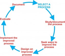 The process improvement cycle 