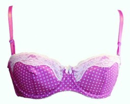 Figure 4 – The puckering visible on the bra cups
