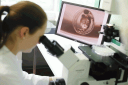 Freudenberg – certified for biodegradability of textile