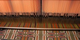 Image Courtesy : majorsandcareers.ncsu.edu