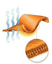Principle of construction of fleece