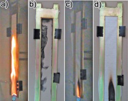 flame_test