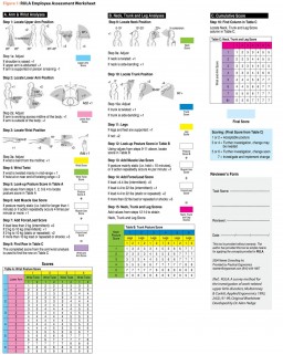 Figure 1: RULA Employee Assessment Worksheet