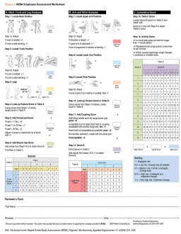 Figure 2: REBA Employee Assessment Worksheet