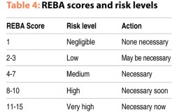 Table 4: REBA scores and risk levels