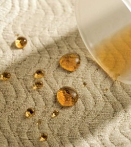 Water-repellent finish 
