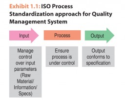 Exhibit 1.1: ISO Process Standardization approach for Quality Management System