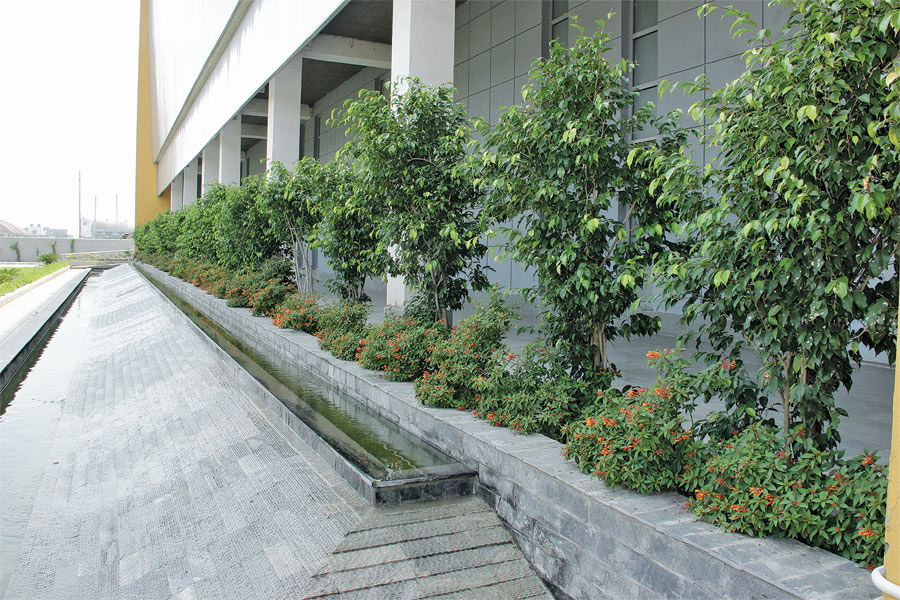 Water body – here water gets filtered by passing through plants and trees