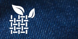 Image Courtesy: pararev.com