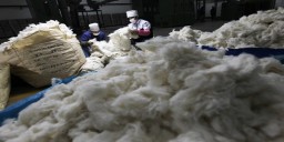 Chinese cotton import dips badly