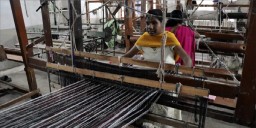 Tamil Nadu notifies powerloom owners for abstains from producing handloom items