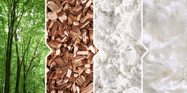 Global Eco Fibres Market