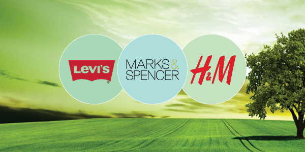 Ethisphere tags H&M, M&S, Levi's as 'ethical' brands | Sustainability News  USA