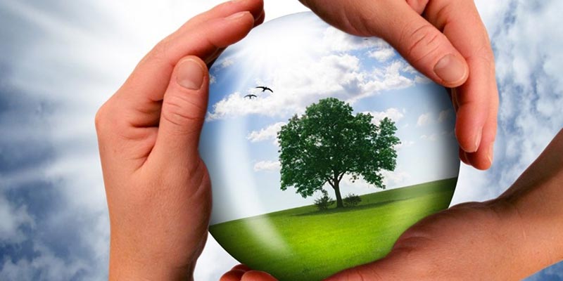 Sustainability,