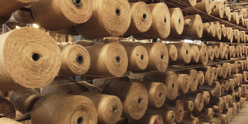 Jute